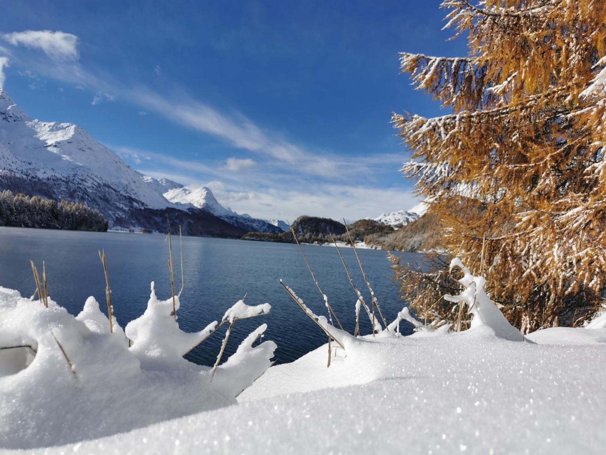 - Chesa Andrea - Gartensitzplatz Pontresina